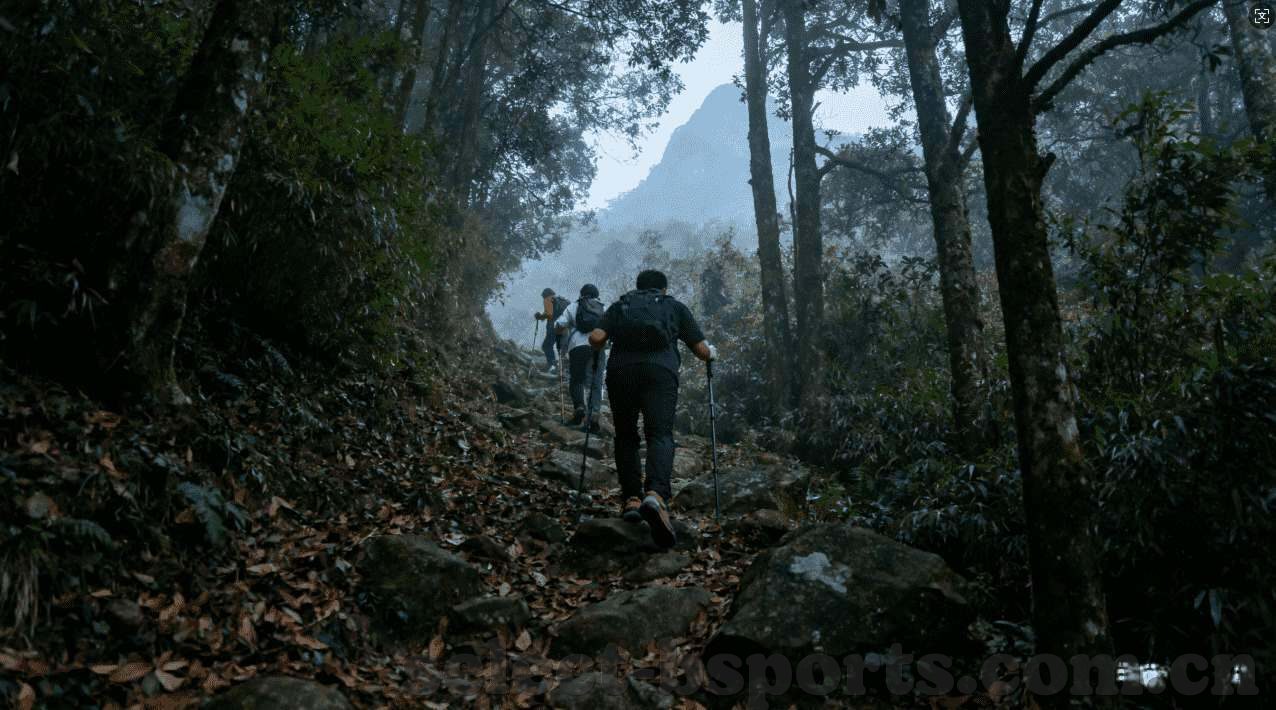 世界杯买球app平台下载-世界杯买球app平台下载，体验足球盛宴的便捷途径